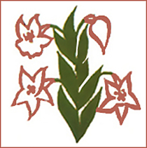 Paskah